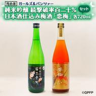 純米吟醸 続撃破率百二十％ 720ml 日本酒 仕込 梅酒 恋梅 720ml 2本 セット ガルパン コラボ 国産梅 月の井 大洗 地酒 茨城 ガールズ＆パンツァー