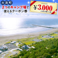 大洗 キャンプ場 クーポン券 3000円分（1000円×3枚） 大洗サンビーチキャンプ場 大洗キャンプ場 チケット 利用券 アウトドア 旅行