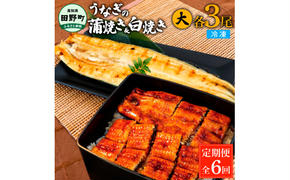 田野町産うなぎの蒲焼き(大)+うなぎの白焼き(大) 各3尾×6回 定期便 6ヶ月 定期コース 1尾あたり120～150g タレ付き 山椒付き うなぎ 鰻 ウナギ 蒲焼き かば焼き 白焼 国産 冷凍 配送