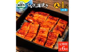 田野町産うなぎの蒲焼き(大) 4尾×6回 定期便 6ヶ月 定期コース 1尾あたり120～150g タレ付き 山椒付き うなぎ 鰻 ウナギ 蒲焼き かば焼き 無頭 おいしい 国産 お取り寄せ 冷凍 配送