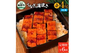 田野町産うなぎの蒲焼き(小) 4尾×6回 定期便 6ヶ月 定期コース 1尾あたり90～120g タレ付き 山椒付き うなぎ 鰻 ウナギ 蒲焼き かば焼き 無頭 おいしい 国産 お取り寄せ 冷凍 配送