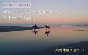 [SUNSHINE STABLES]サンシャインスクーリングパック　フリーデイ（全日）