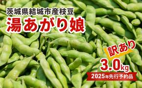 先行予約 訳あり 茨城県結城市産枝豆「湯あがり娘」3kg（茶豆味）