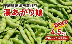 先行予約 訳あり 茨城県結城市産枝豆「湯あがり娘」4.5kg（茶豆味）