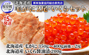 厚岸漁協イチオシ！【3D冷凍】北海道産 毛がに（約350g～400g）2尾・いくら200gセット