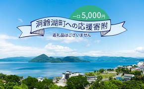 洞爺湖町 寄附のみの応援受付 5,000円コース（返礼品なし 寄附のみ 5,000円）