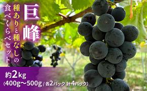 巨峰（種ありと種なし）の食べくらべセット 約2kg2025年（R7年）9月中旬～10月下旬頃出荷予定