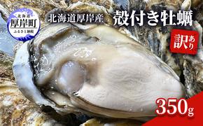 訳あり 北海道 厚岸産 殻付き 牡蠣 350g