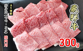 牛肉 飛騨牛 焼き肉 赤身 モモ 又は カタ 300g 黒毛和牛 Ａ5 美味しい お肉 牛 肉 和牛 焼肉 BBQ バーベキュー 【岐阜県美濃市】