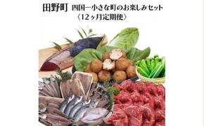 【四国一小さなまち】≪2025年1月発送開始≫★定期便 12ヶ月★～田野町お楽しみセット12回コース『B』～