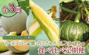 【年3回定期便】【2025年7～10月お届け】高品質 フラノプレゼンツ が贈る 赤肉 青肉 メロン ＆ 新鮮 野菜 の 品種 食べ比べ 計6種 定期便 (メロン とうもろこし かぼちゃ  北海道 富良野市 野菜 果物 フルーツ 甘い 新鮮)