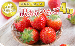 【先行予約】訳ありいちご 4kg【茨城県共通返礼品 石岡市】
※2024年12月上旬～2025年4月下旬頃に順次発送予定