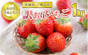 【先行予約】訳ありいちご 1kg【茨城県共通返礼品 石岡市】
※2024年12月上旬～2025年4月下旬頃に順次発送予定