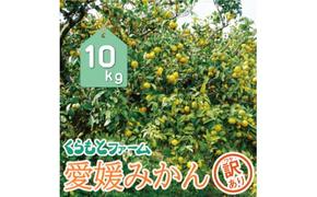 訳あり 愛媛みかん 10kg 13000円 温州みかん こたつ みかん 温州 みかん mikan 蜜柑 愛媛 ミカン 完熟 家庭用 産地直送 国産 農家直送 糖度 期間限定 数量限定 特産品 ゼリー ジュース アイス 人気 限定 甘い 果実 果肉 フルーツ 果物 柑橘 先行 事前 予約 受付 ビタミン 健康 美味しい おいしい ジューシー サイズ ミックス くらもとファーム 愛南町 愛媛県