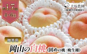 固めの桃 2025年 先行予約 贈答用 岡山の 白桃（晩生種）約1.7kg 4～6玉 岡山県 フルーツ もも 桃 モモ ピーチ 人気 新鮮 フルーツ 桃 フルーツ もも 桃 ギフト くだもの 桃 もも 果物 フルーツ 桃 もも