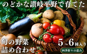 のどかな讃岐平野で育てた 旬の野菜 詰め合わせセット　今が旬 健康 野菜ボックス ヘルシー食材