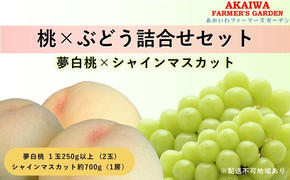桃 ぶどう 詰合せ 2025年 先行予約 おかやま 夢 白桃 2玉（1玉250g以上） シャイン マスカット 1房 約700g 岡山県 赤磐市産 フルーツ 果物 あかいわファーマーズガーデン