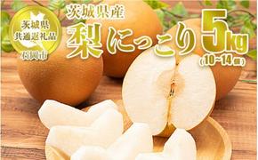 梨 にっこり 約5kg 10～14個【茨城県共通返礼品 石岡市】なし ナシ 果物 くだもの フルーツ 国産 茨城県 守谷市 送料無料　※2025年10月上旬～10月下旬頃に順次発送予定