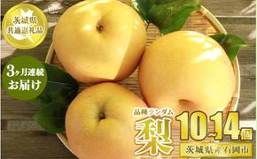 【定期便】梨の3ヶ月連続お届けセット 10～14個×3回【茨城県共通返礼品 石岡市産】
※2025年8月～10月下旬頃に順次発送予定