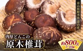 【年内出荷】数量限定 原木椎茸「金山かぐや」射水市金山産 /おせち材料 正月 料理 きのこ 野菜 山菜/富山県射水市