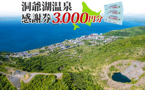 [CF2] [ふるさと納税] 洞爺湖温泉感謝券 3000円 分 金券 クーポン 洞爺湖 湖 温泉 リゾート 有珠山 火山 自然 花火 イルミネーション 旅行 観光 宿泊 施設 北海道 地域のお買い物券 チケット