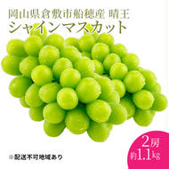 ぶどう 2025年度分 先行予約 【プレミアムシャインマスカット 晴王 2房 約1.1kg】船穂産　赤秀品以上  岡山県産 葡萄 ブドウ ギフト ハレノフルーツ 皮ごと食べる みずみずしい