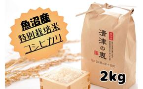 【令和6年産】魚沼産特別栽培米コシヒカリ［清津の恵］精米2kg（１kgx２袋）