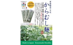 【豊富な栄養！】雪国越後十日町からむし麺（うどん） 10束入りギフト（200g×10束） 