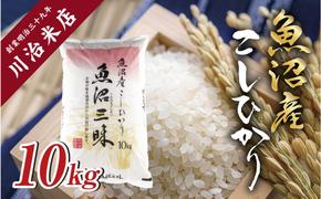 令和6年産新米　魚沼産 コシヒカリ  10kg 米 こしひかり お米 コメ 新潟 魚沼 魚沼産 白米 送料無料 新潟県産 精米 産直 産地直送 契約農家 お取り寄せ 魚沼三昧 川治米店 新潟県 十日町市