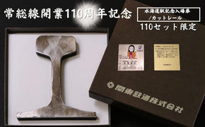 水海道駅記念入場券カットレールセット 常総線開業110周年記念 110セット限定