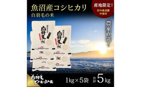 【通年受付】≪令和6年産≫　農家直送！魚沼産コシヒカリ「白羽毛の米」精米 (1kg×5袋) 5kg