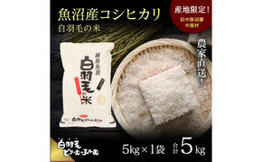 【通年受付】≪令和6年産≫　農家直送！魚沼産コシヒカリ「白羽毛の米」精米 (5kg×1袋) 5kg