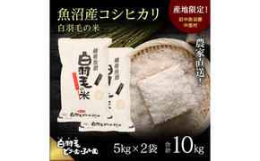 【通年受付】≪令和6年産≫　農家直送！魚沼産コシヒカリ「白羽毛の米」精米 (5kg×2袋) 10kg