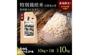 【通年受付】≪令和6年産≫　農家直送！魚沼産コシヒカリ特別栽培「白羽毛の米」玄米(10kg×1袋) 10kg