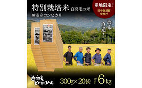 【通年受付】≪令和6年産≫　農家直送！魚沼産コシヒカリ特別栽培「白羽毛の米」精米 (300g×20袋) 6kg