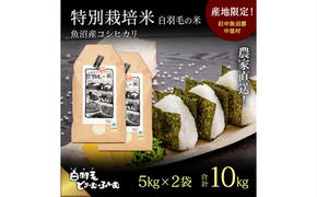 【通年受付】≪令和6年産≫　農家直送！魚沼産コシヒカリ特別栽培「白羽毛の米」精米 (5kg×2袋) 10kg