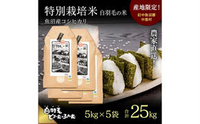 【通年受付】≪令和6年産≫　農家直送！魚沼産コシヒカリ特別栽培「白羽毛の米」精米 (5kg×5袋) 25kg