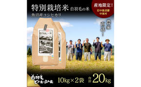 【通年受付】≪令和6年産≫　農家直送！魚沼産コシヒカリ特別栽培「白羽毛の米」精米(10kg×2袋) 20kg