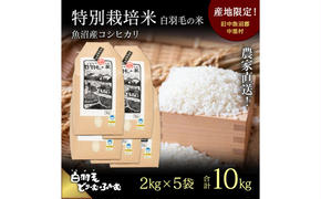 【通年受付】≪令和6年産≫　農家直送！魚沼産コシヒカリ特別栽培「白羽毛の米」精米(2kg×5袋) 10kg