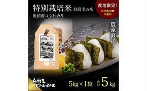 【通年受付】≪令和6年産≫　農家直送！魚沼産コシヒカリ特別栽培「白羽毛の米」精米(5kg×1袋) 5kg