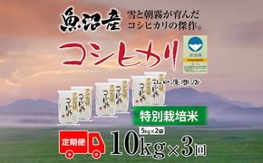 定期便 全3回 特別栽培米 魚沼産コシヒカリ 5kg×2袋