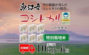 定期便 全6回 特別栽培米 魚沼産コシヒカリ 5kg×2袋