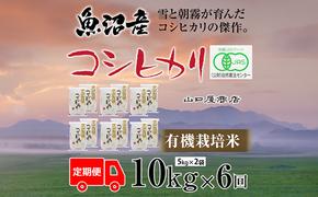 定期便 全6回 有機栽培米 魚沼産コシヒカリ 5kg×2袋