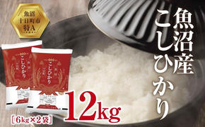 魚沼産 こしひかり 6kg ×2袋 計12kg 米 お米 新潟 魚沼 魚沼産 白米 送料無料 新潟県産 精米 産直 産地直送 契約農家 お取り寄せ 壱成 新潟県 