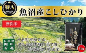 日本棚田百選のお米《無洗米》天空の里・魚沼産こしひかり　5kg×1