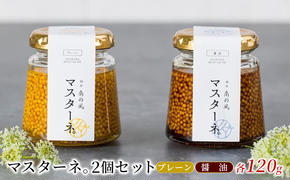 調味料 マスタード 2個 セット マスターネ。 プレーン 醤油 各120g 瓶 食べ比べ ※配送不可:離島