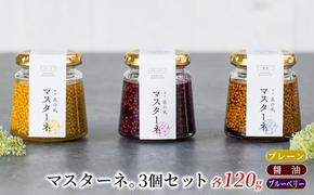 調味料 マスタード 3本 セット マスターネ。 プレーン 醤油 ブルーベリー 各120g 瓶 食べ比べ ※配送不可:離島