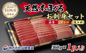 天然 本マグロ 刺身セット 360g 赤身 中トロ 大トロ 三種 盛り合わせ 鮪 クロマグロ 冷凍 まぐろ 刺身 海鮮丼 手巻き寿司 夕食 お取り寄せ グルメ 送料無料 山崎食品 新潟県 十日町市