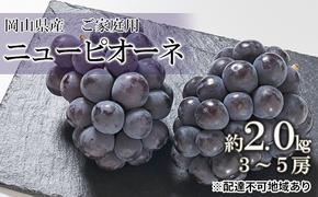 ぶどう 2025年 先行予約 ご家庭用 ニュー ピオーネ 約2.0kg （3～5房） ブドウ 葡萄  岡山県産 国産 フルーツ 果物