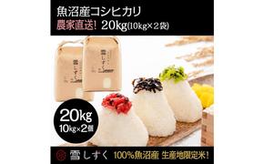 令和6年産！魚沼産コシヒカリ【農家直送!】 10kg×2袋